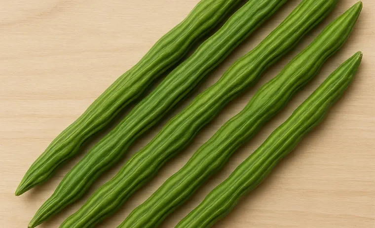 Indian Drumsticks (Moringa Pods) have gained immense popularity across the globe for their unique flavor and health benefits. At Glosky Farm, we export premium-grade drumsticks that are rich in vitamins A, C, calcium, and antioxidants, sourced from the fertile farmlands of Maharashtra, Tamil Nadu, Andhra Pradesh, and Karnataka.